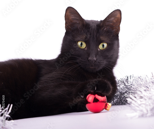 Canvas Adorable black cat with her paw on top of a red bauble; on white