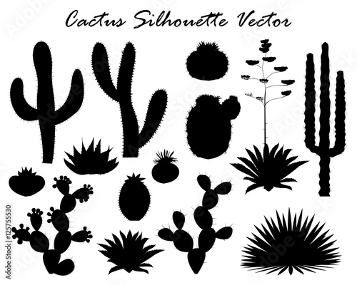 Black silhouettes of cactus, agave, and prickly pear