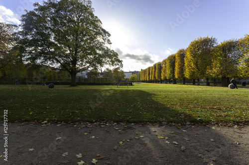 Parco tra sole e ombra