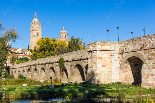 Roman bridge and cathedral in Salamanca (Spain)