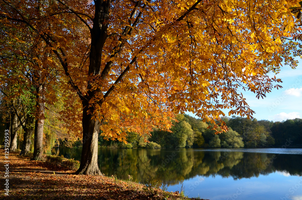 volkspark jungfernheide