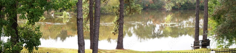 Pond view from the backyard Pond view from the backyard