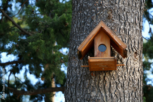 Birdhouse on a pine tree. Selective focus. 
