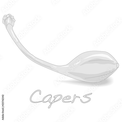 Canned capers vector illustration