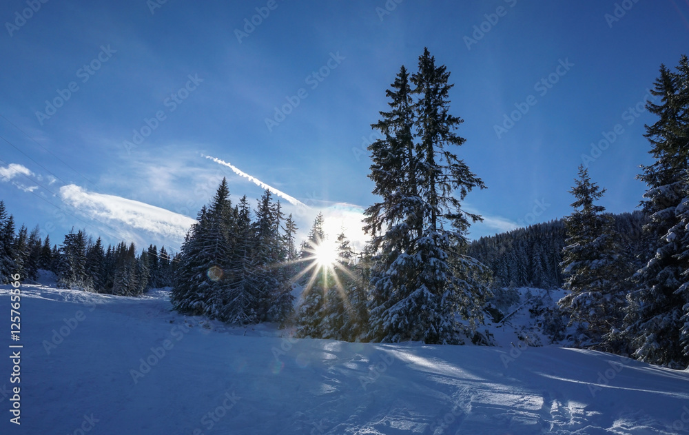 Winterwonderland