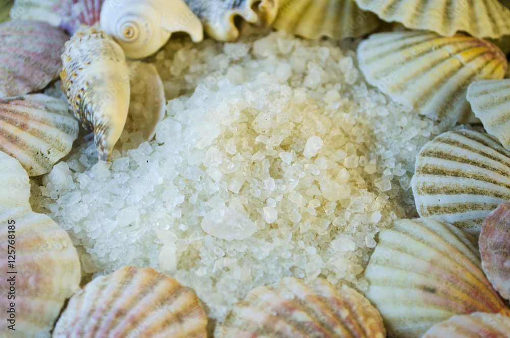 sea salt and seashells