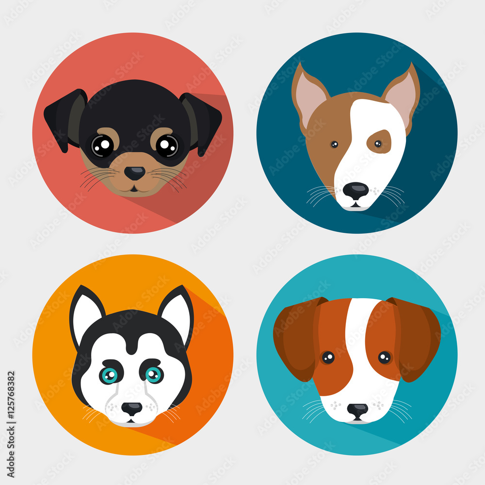 cute set puppy pet icons design vector illustration eps 10