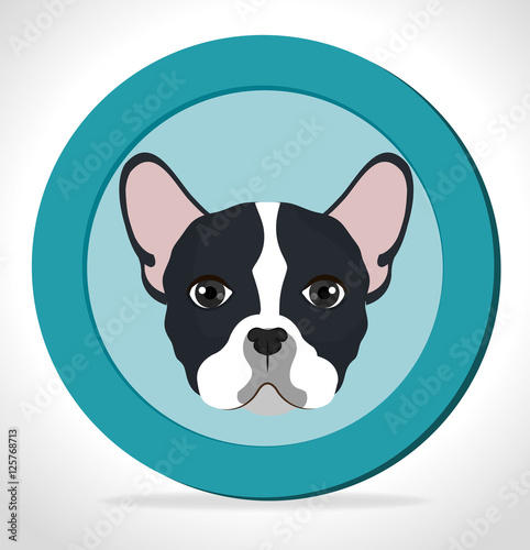 cute face puppy blue label vector illustration eps 10