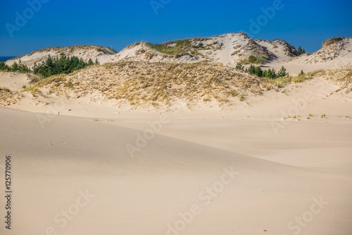 Moving dunes park near Baltic Sea in Leba, Poland