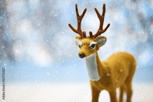 A Cute Young Reindeer in a Defocused Winter Landscape Background photo