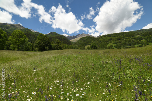 paesaggio di montagna verde fiori erba natura relax benessere yoga vita