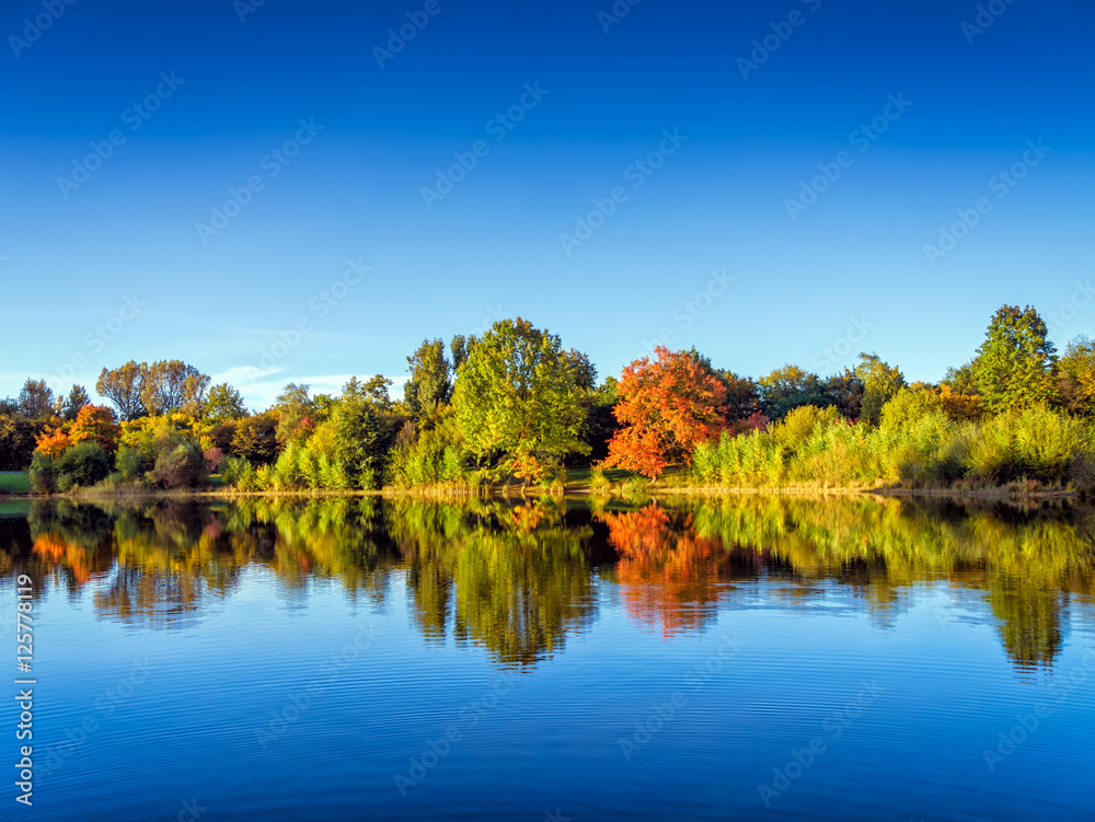 Seeufer im Herbst am Marienberg Park in Nürnberg Seeufer im Herbst am Marienberg Park in Nürnberg