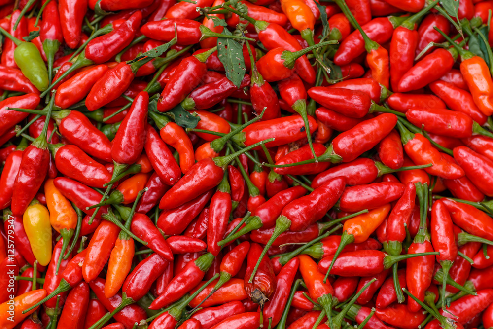 red chili pepper group prepared to dry