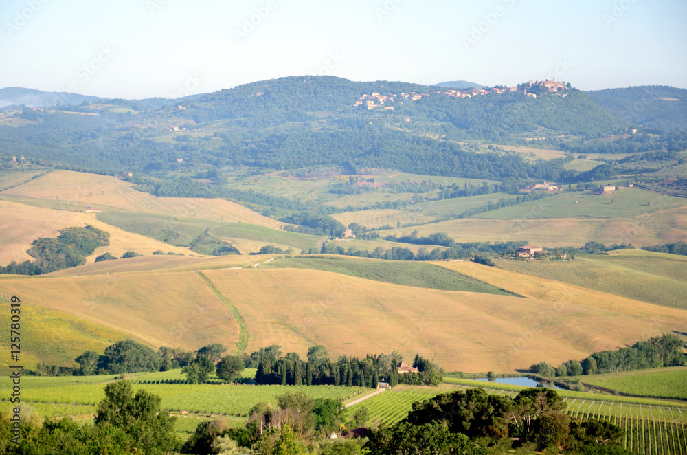 Chiana Valley in Tuscany,Italy