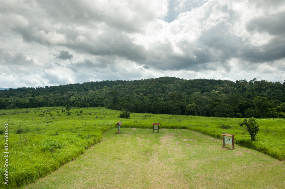 Green meadow under blue sky with clouds,Landscape field and sky Green meadow under blue sky with clouds,Landscape field and sky