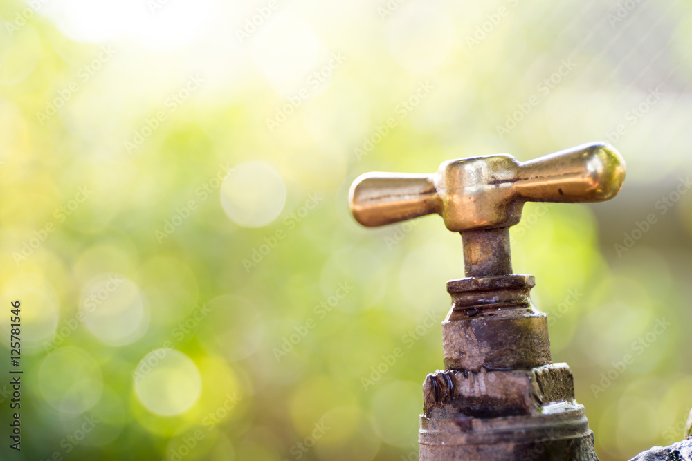 Brass water tap in nature background. Brass water tap in nature background.