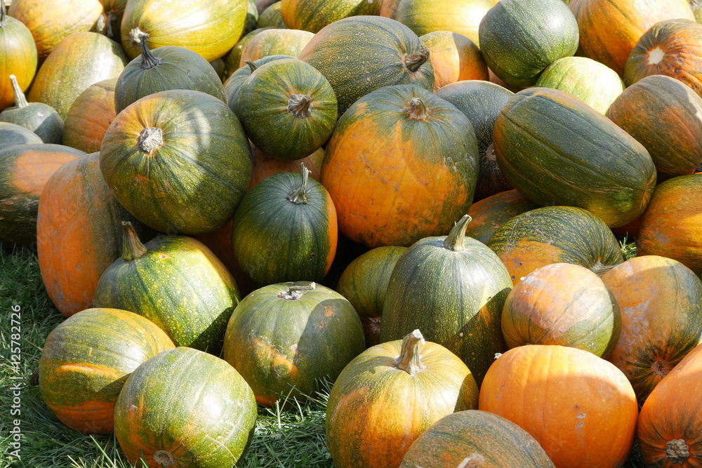 Orange and green Halloween pumpkins for lantern carving