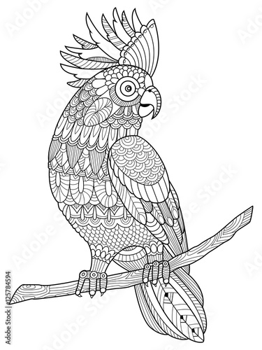 Cockatoo parrot coloring book for adults vector