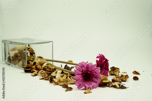 dried colorful flowers on a white background