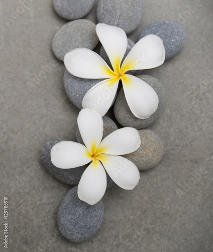 frangipani with spa stones on grey background.