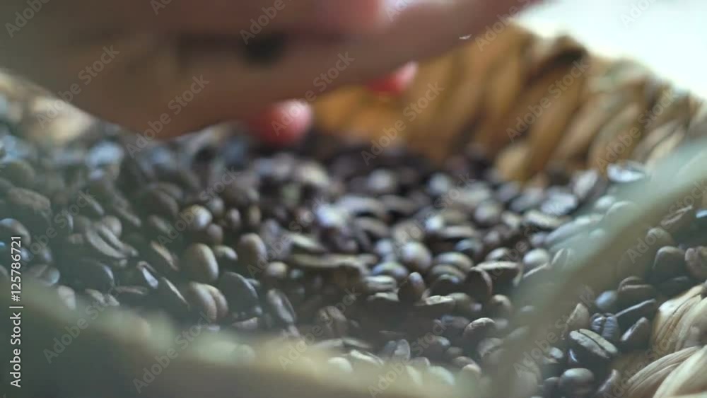 Woman picking up in the palm of a handful of coffee beans Woman picking up in the palm of a handful of coffee beans