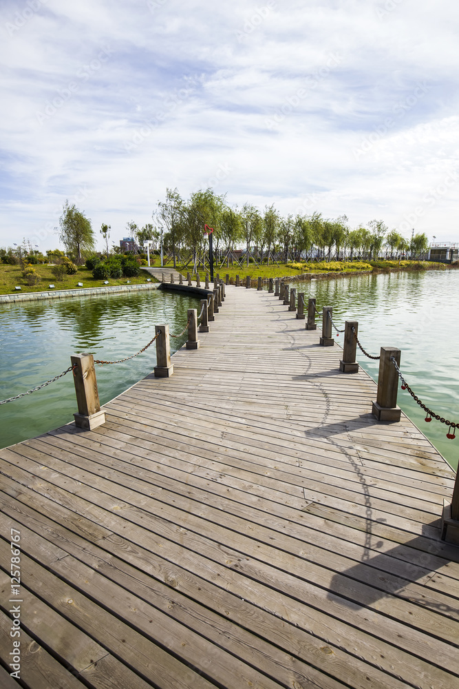 Obraz premium The wood bridge in park
