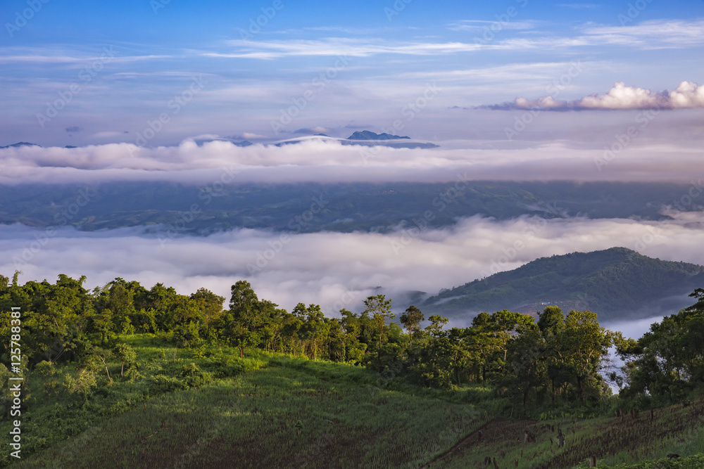Mountain after raining with the fog.Doi Pha Mee, Chiang Rai, Tha Mountain after raining with the fog.Doi Pha Mee, Chiang Rai, Tha
