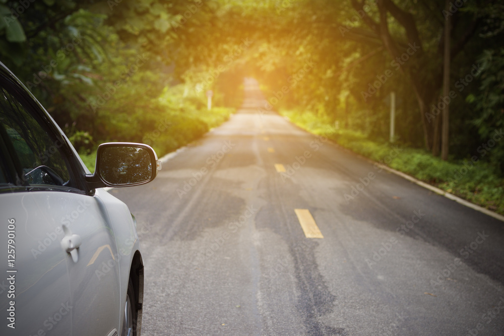 Driving on a road in national park with sunset light forward. Driving on a road in national park with sunset light forward.