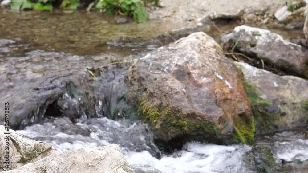 Bemooster Stein in einem Fluss in der Herbstzeit 