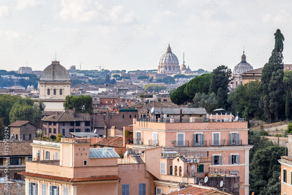 View from the Palatine hill at Rome and the dome of St. Peter