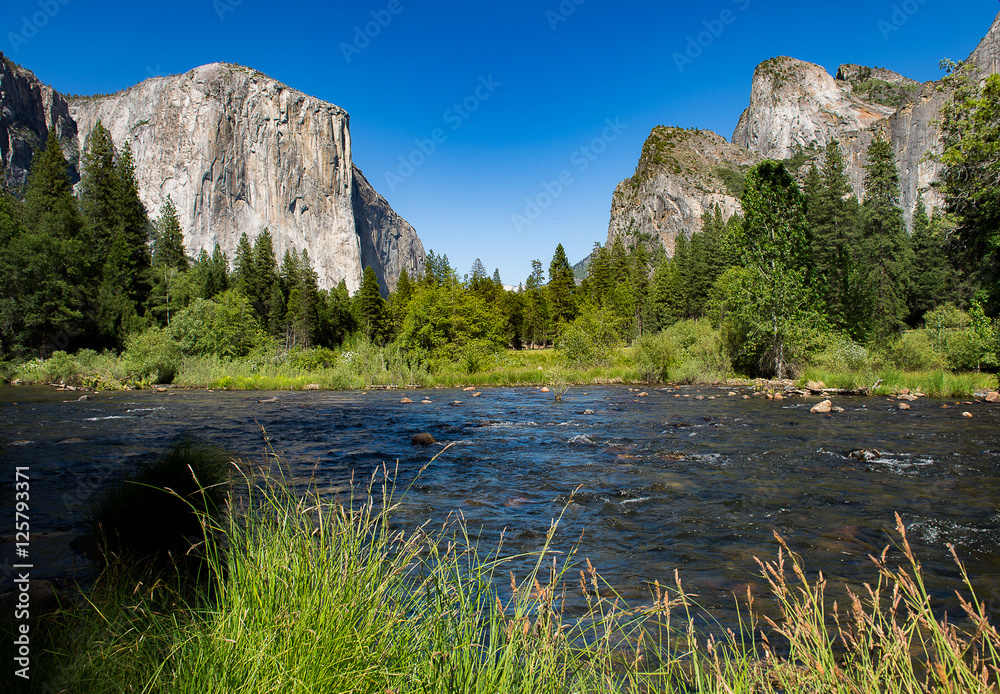 Yosemite during spring