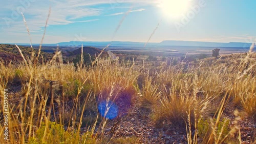 Picturesque and incredibly beautiful sunset over a highway road in iconic Utah landscape with dry  yellow grass flopping in the wind as camera cinematically glides over the scenery