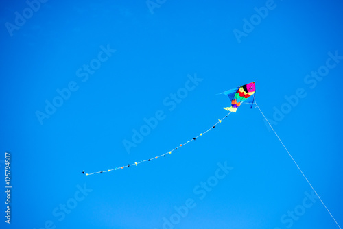 colored kite held by the wire