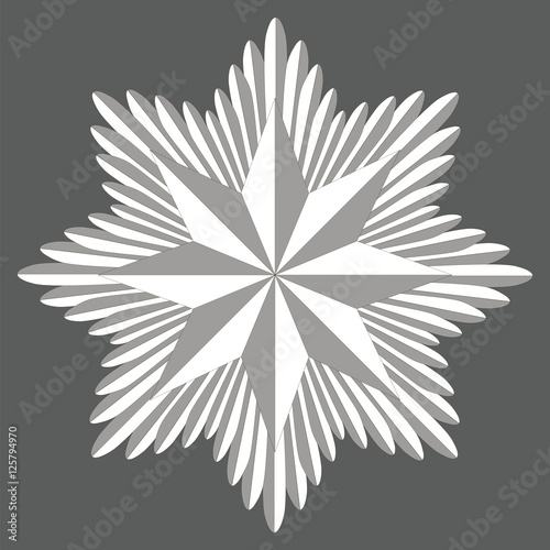 cockade eight pointed badge