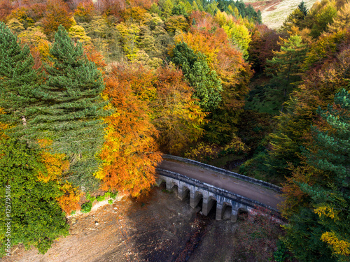 Aerial photo of small bridge in the fall colours forest