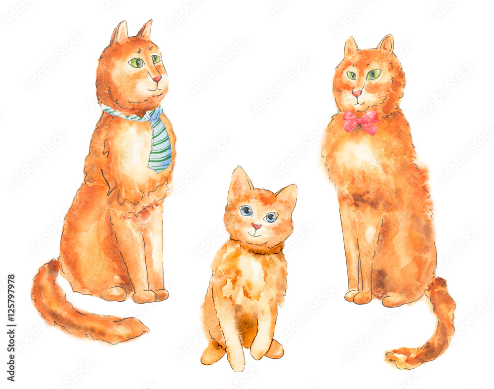 Set of ginger cat with blue tie, his wife with red bow and kitty, sitting on white background, cute, loving, watercolor illustration, vintage, cartoon style