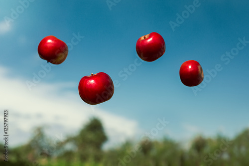 ripe apples in zero gravity thrown into the air photo