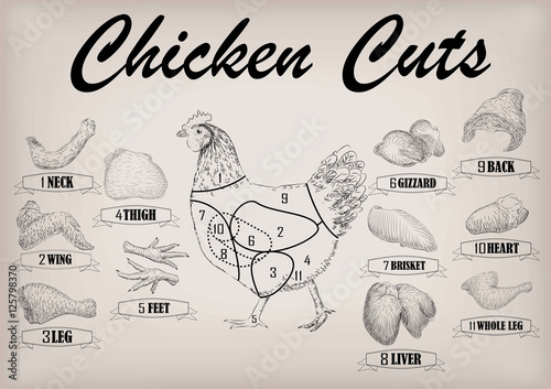Chicken hen cutting meat scheme parts carcass brisket neck wing fillet back heart leg liver. Vector horizontal closeup side view illustration sign info graphics black outline isolated beige background