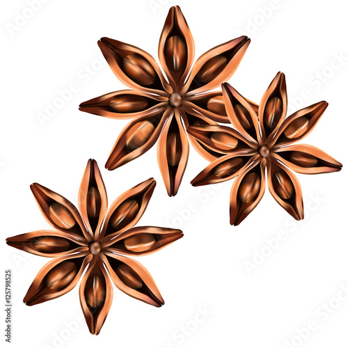 Stars of anise isolated on the white vector illustration