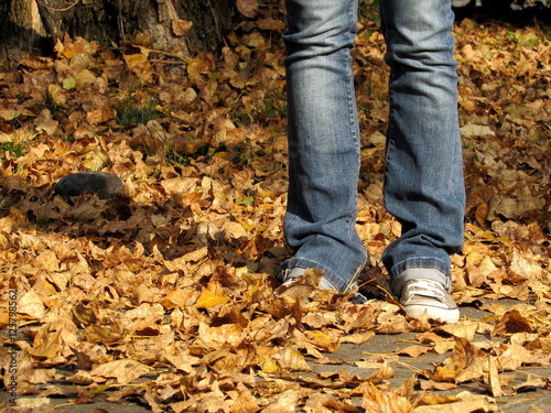 Gambe in autunno