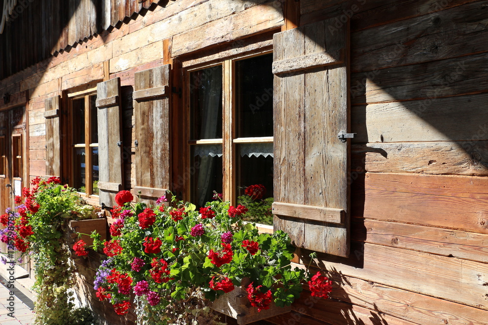 Obraz premium Almhütte