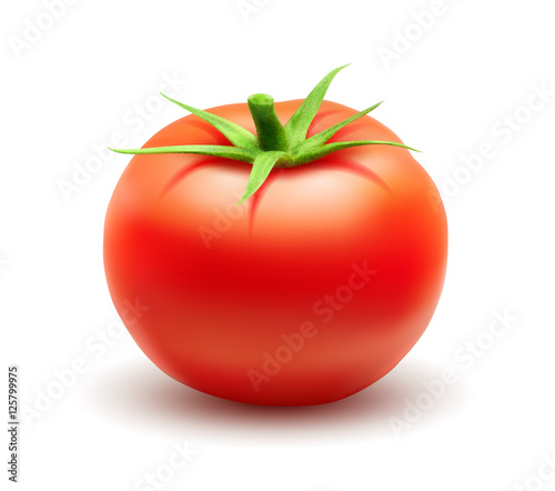 Tomate vectorielle 1 photo