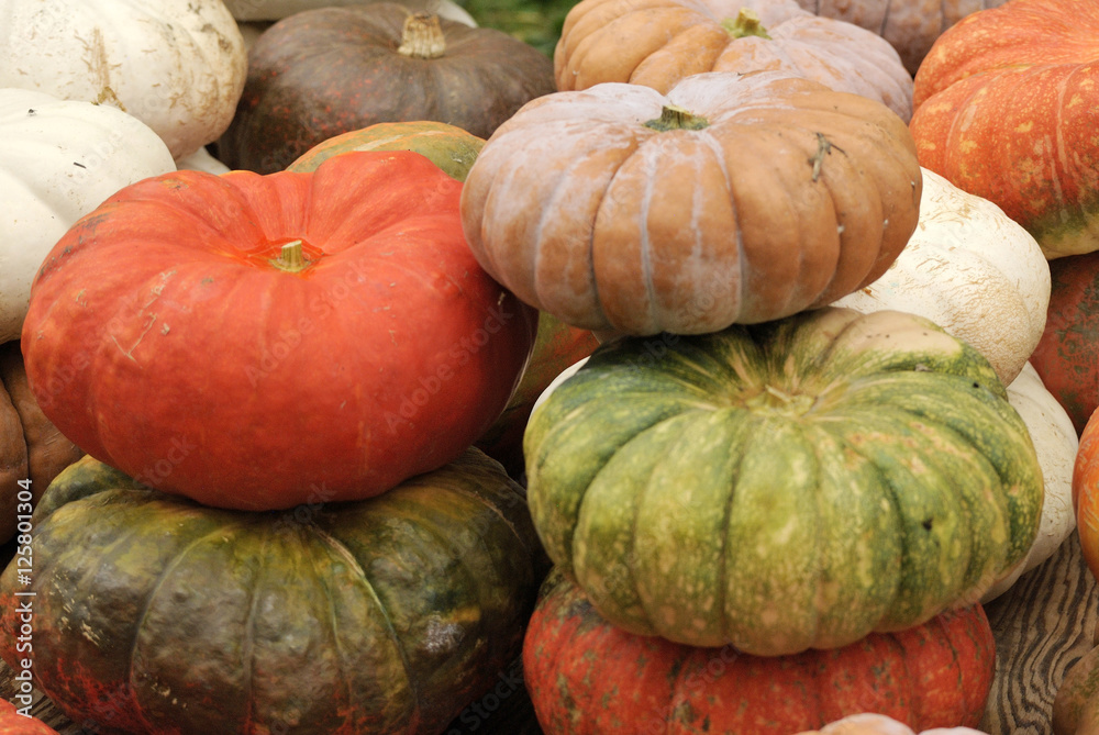 Pumpkin at Halloween market