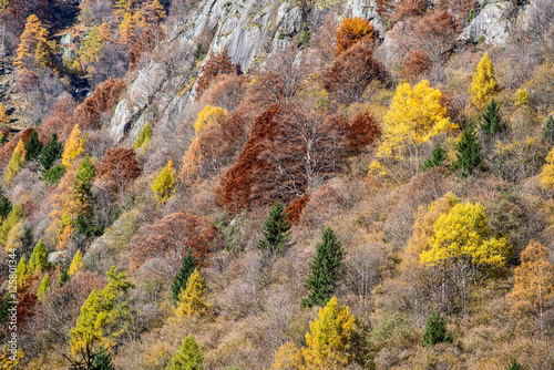 beautiful autumn landscape in mountain