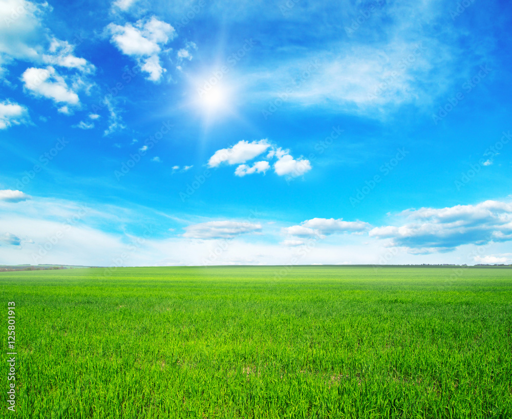 landscape landscape