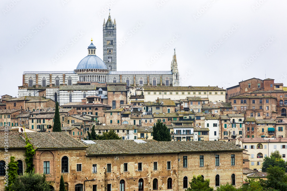 Cityscape with Duomo of Siena in Tuscany