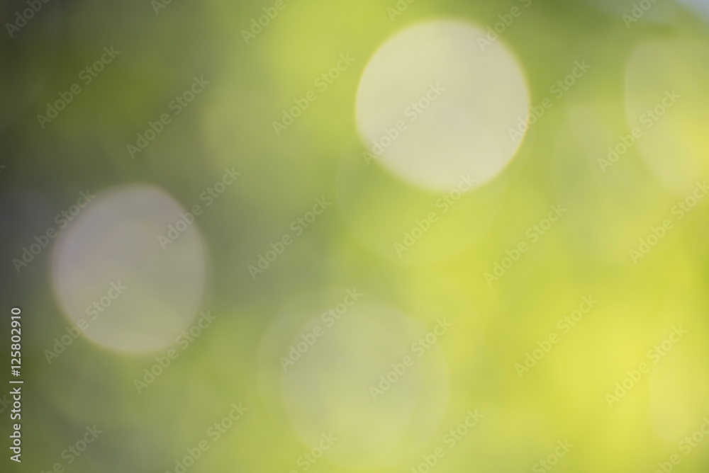 Obraz premium Naturalny zielony niewyraźne tło i światło słoneczne bokeh