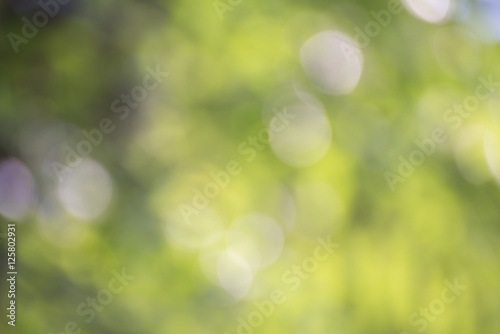 Natural green blurred background and sunlight bokeh
