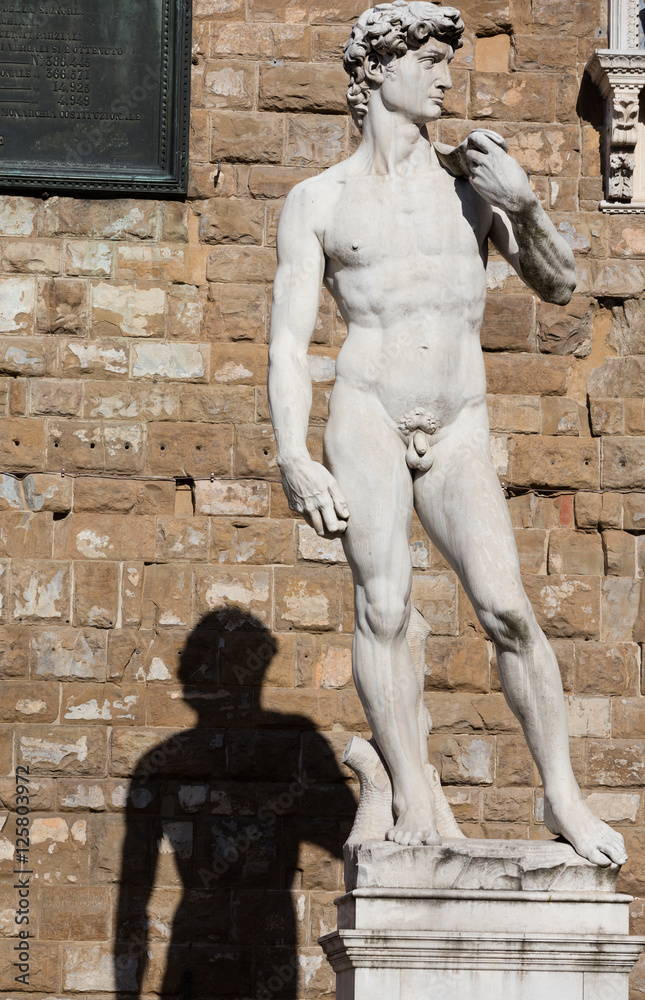 Obraz premium David by Michelangelo