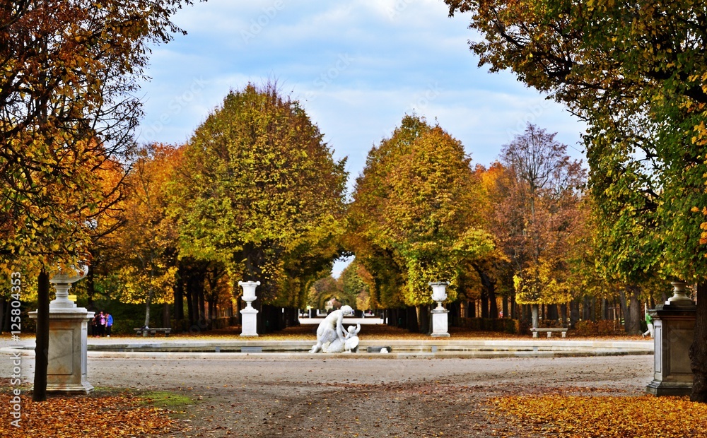 Obraz premium Park pałacowy Schönbrunn